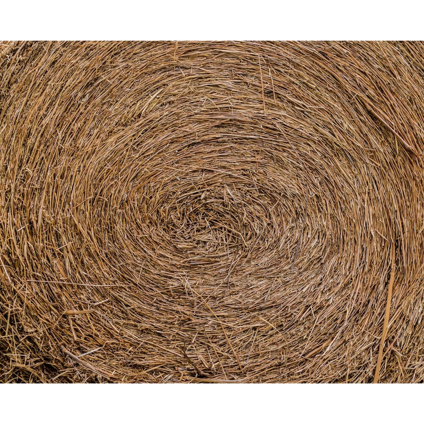  Locally Sourced Pinestraw Roll
