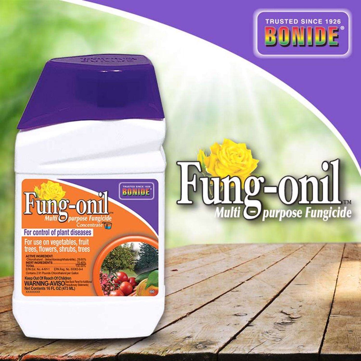  Bonide Fung-onil Concentrated Liquid Fungicide 16 Oz