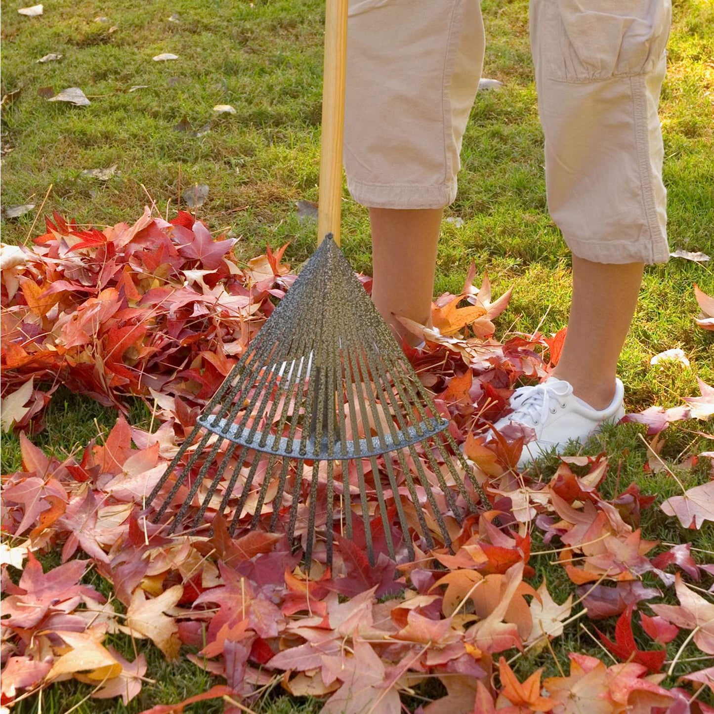  Yard Butler 62 In. 20 Tine Steel Fan Rake Wood Handle