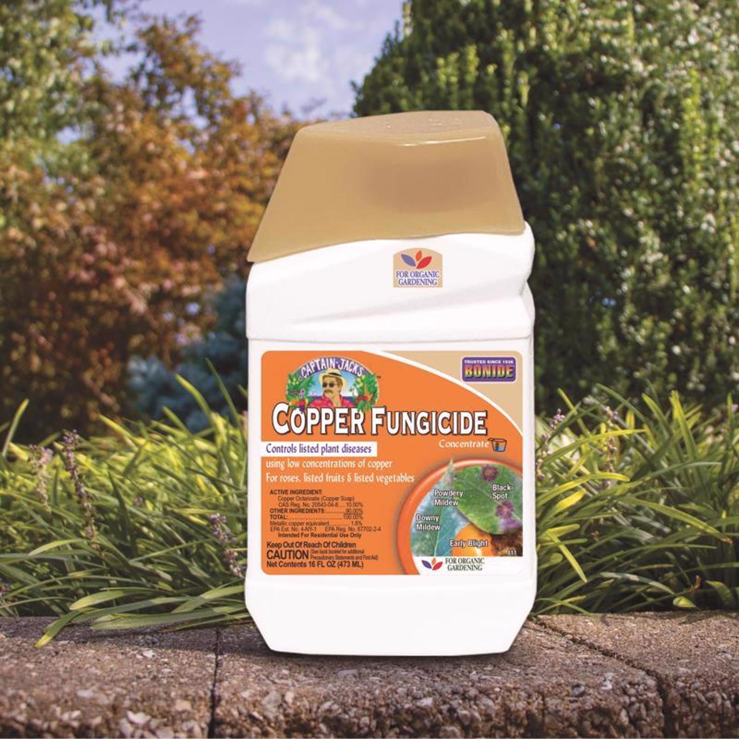  Bonide Liquid Copper Concentrated Liquid Fungicide 16 Oz