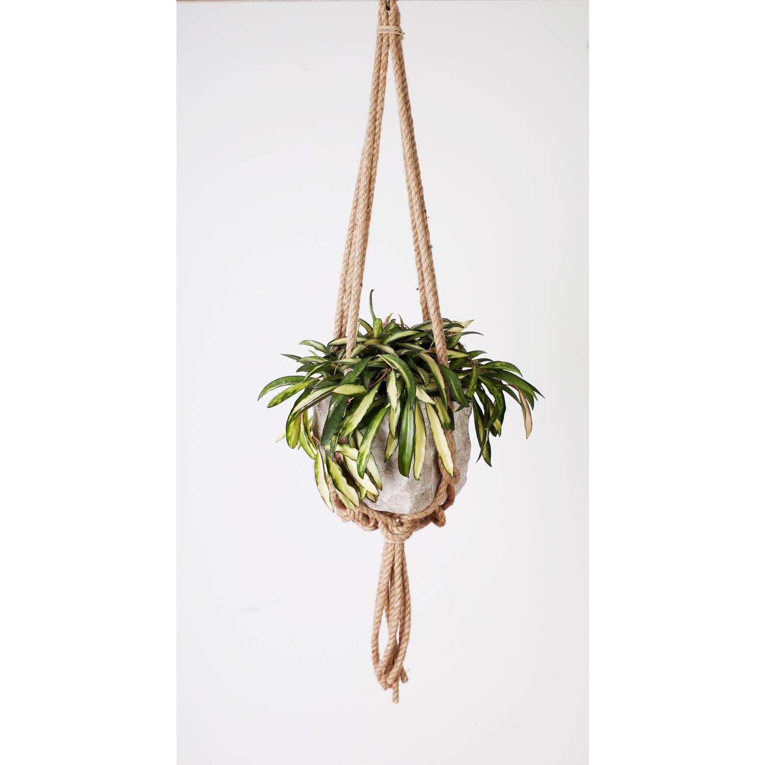  Primitive Planters Beige/Tan Jute 36 In. H Plant Hanger 1 Pk