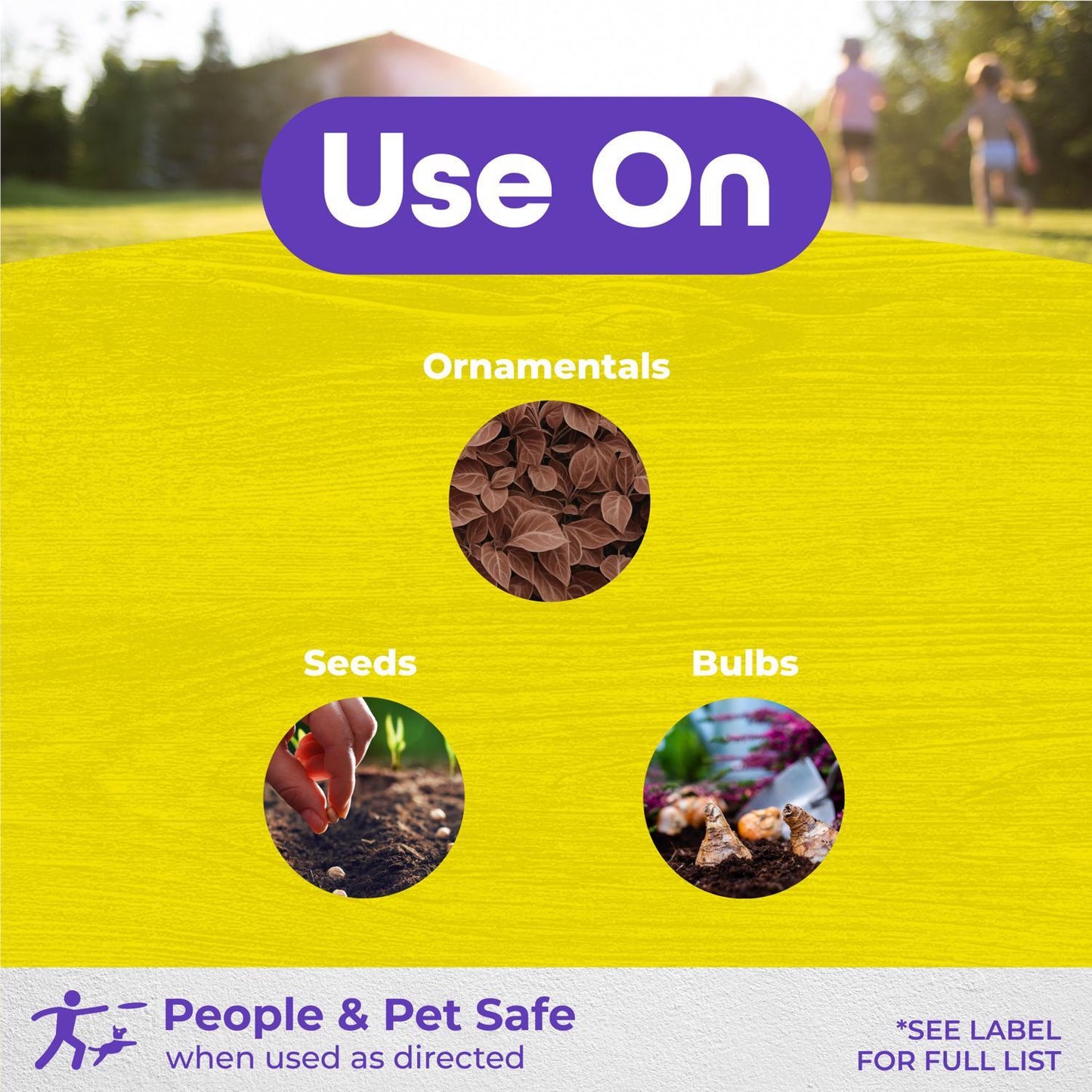  Bonide MoleMax Animal Repellent Granules For Moles And Voles 10 Lb