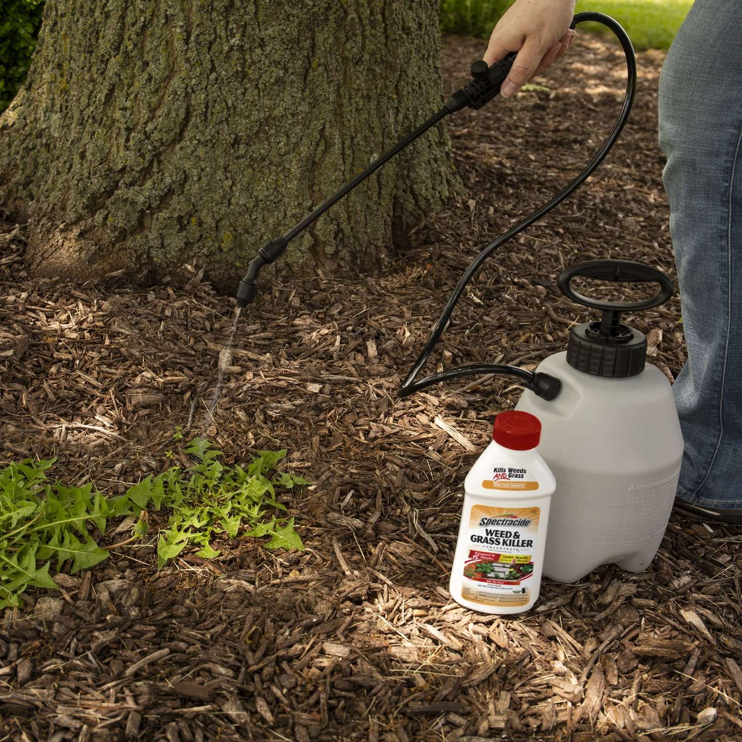  Spectracide Weed And Grass Killer Concentrate 16 Oz