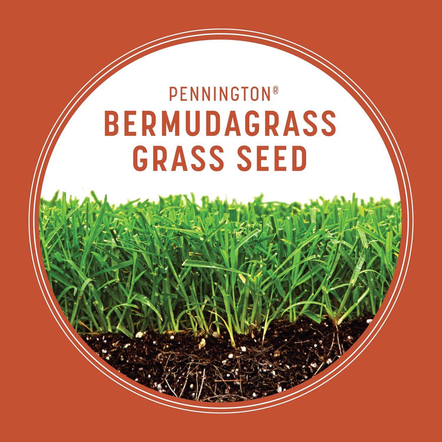  Pennington Bermuda Grass Full Sun Grass Seed 15 Lb