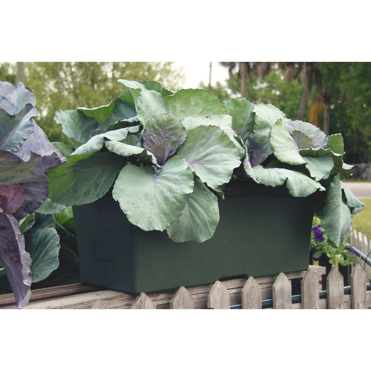  EarthBOX Seed Starting Kit 1 Pk
