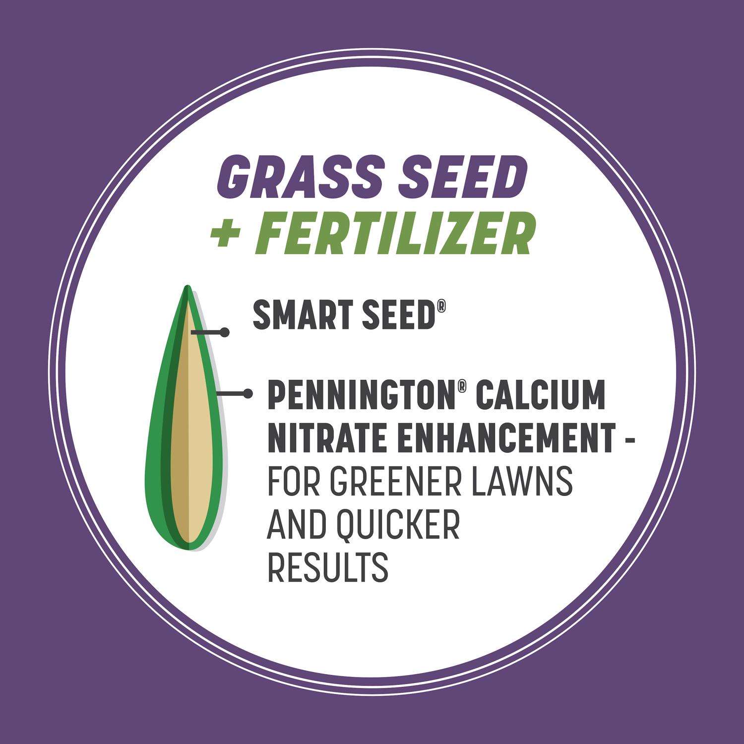 Pennington Smart Seed Mixed Dense Shade Grass Seed And Fertilizer 3 Lb