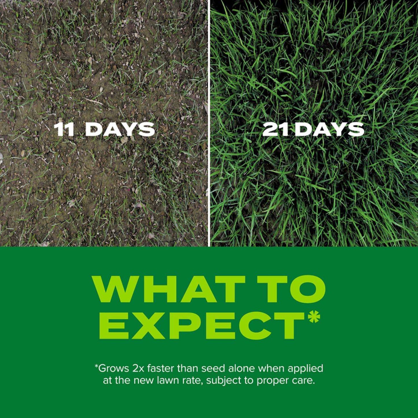  Scotts Turf Builder Rapid Grass Tall Fescue Grass Sun Or Shade Grass Seed And Fertilizer 16 Lb