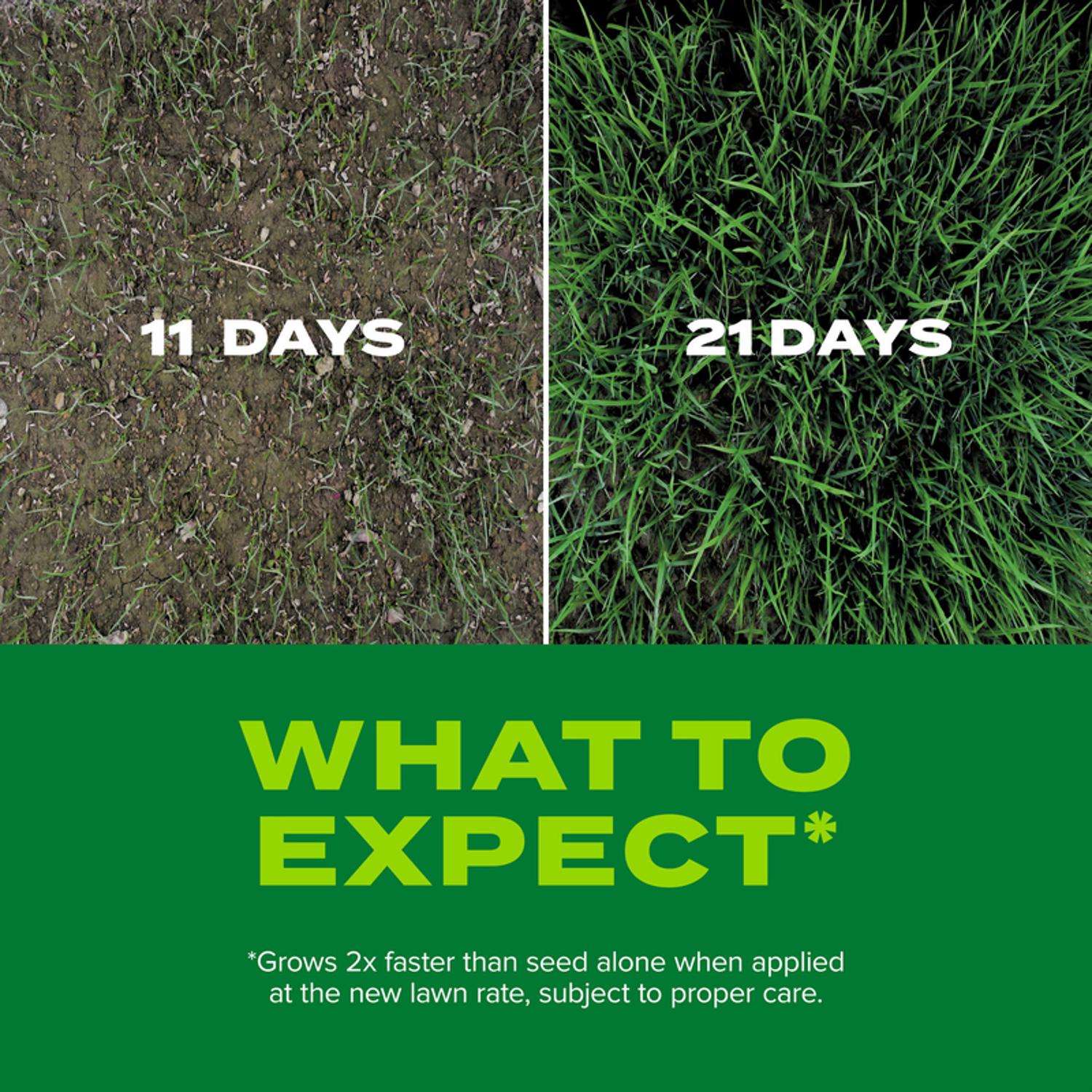  Scotts Turf Builder Rapid Grass Tall Fescue Grass Sun Or Shade Grass Seed And Fertilizer 16 Lb