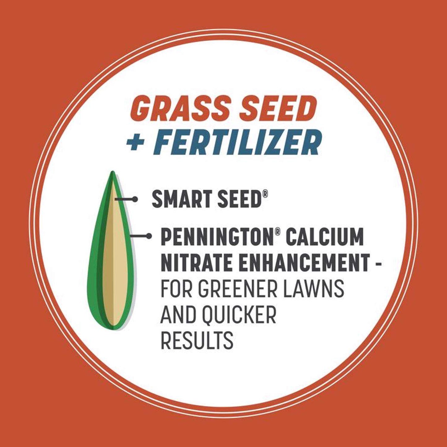  Pennington Smart Seed Texas Bermuda Full Sun Grass Seed And Fertilizer 1.75 Lb