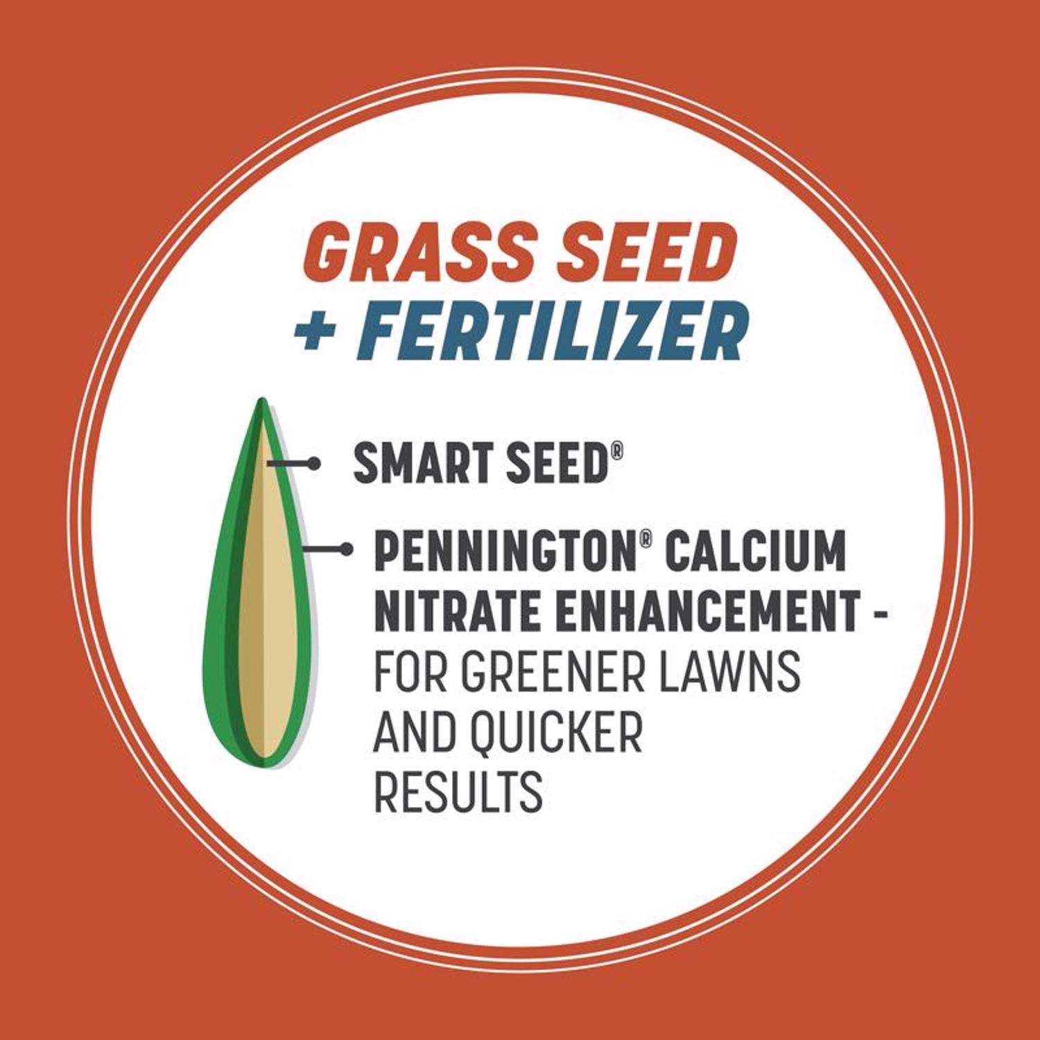  Pennington Smart Seed Texas Bermuda Full Sun Grass Seed And Fertilizer 1.75 Lb