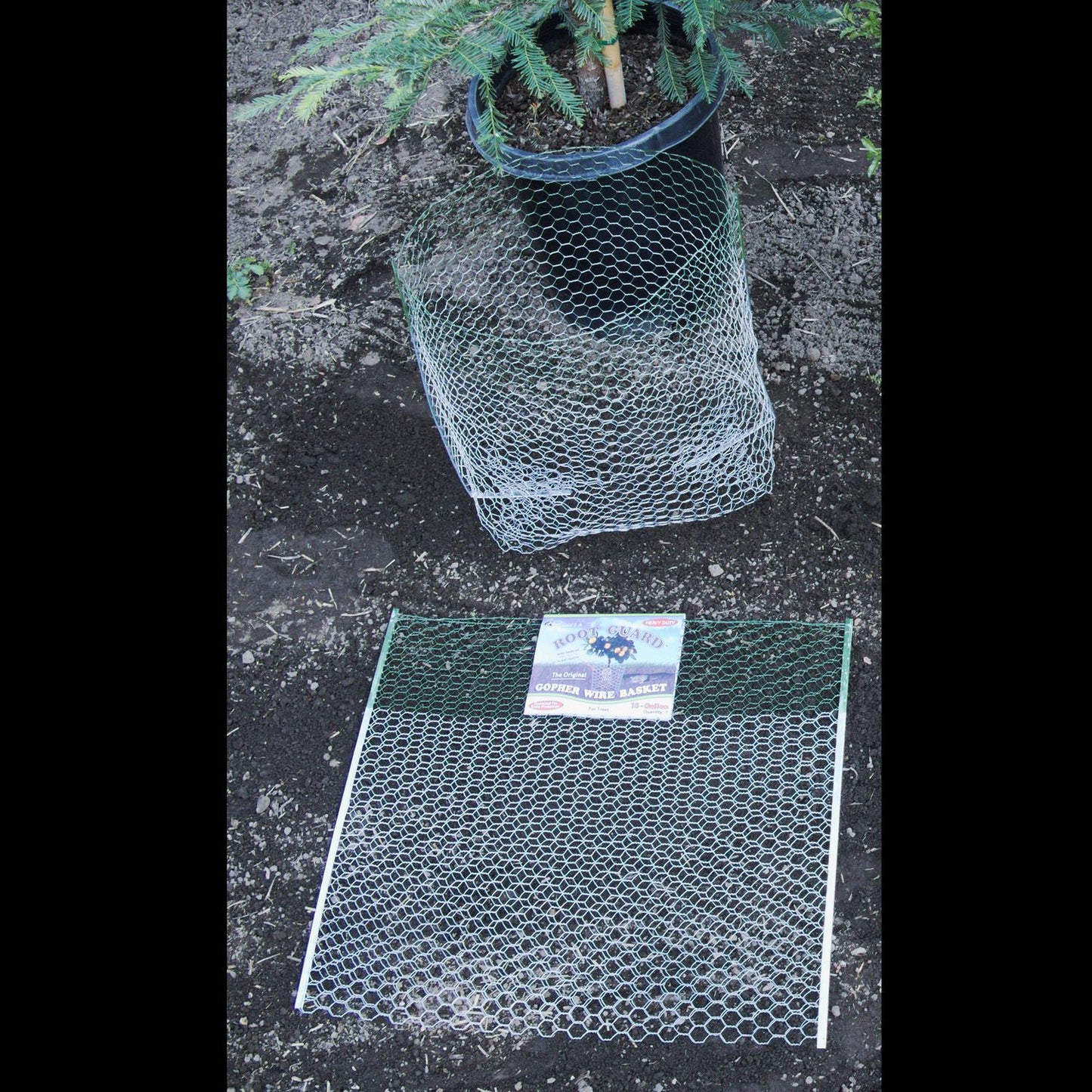  Digger's Root Guard 27.75 In. H X 25 In. W X 0.2 In. D Silver Coated Wire Gopher Wire Basket