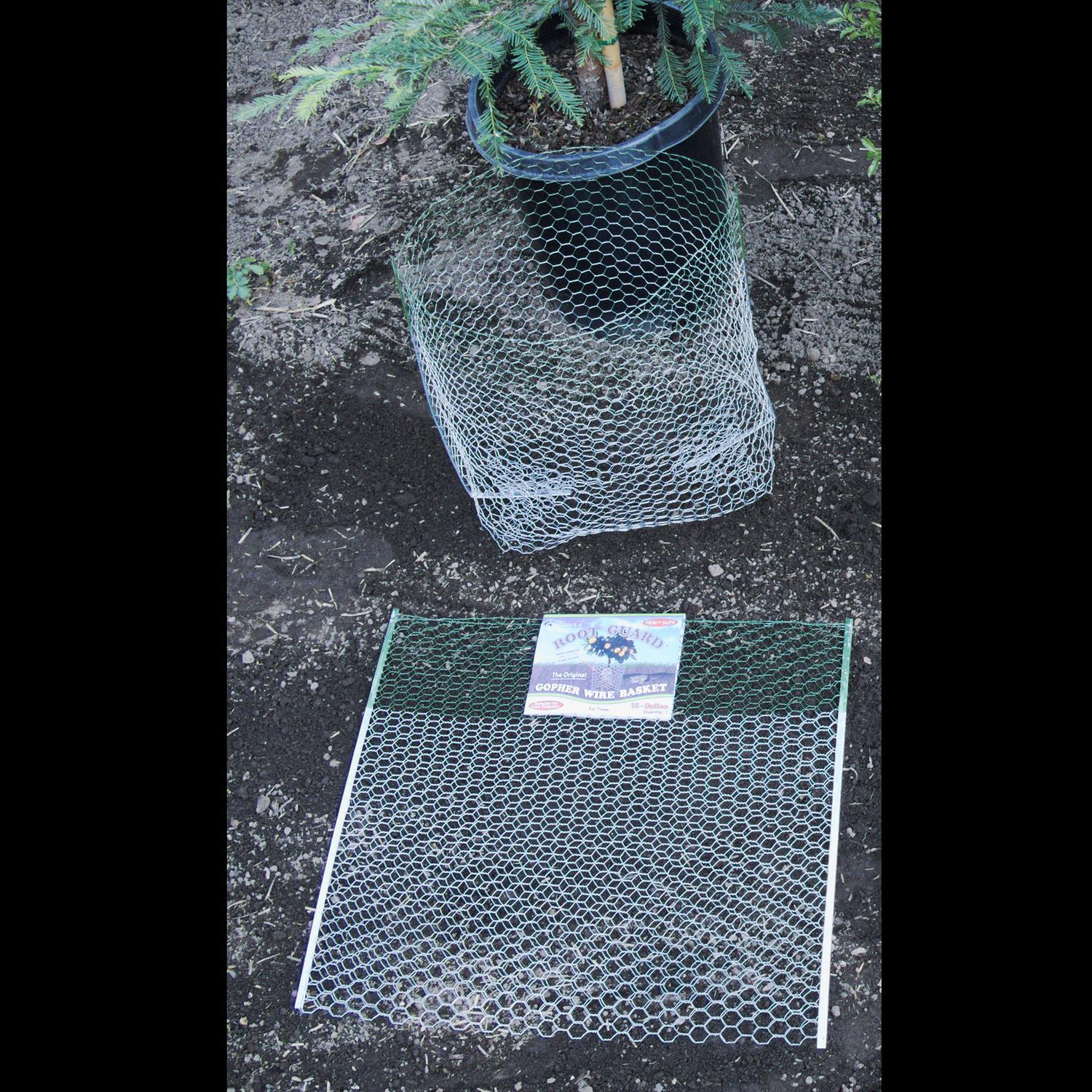  Digger's Root Guard 27.75 In. H X 25 In. W X 0.2 In. D Silver Coated Wire Gopher Wire Basket