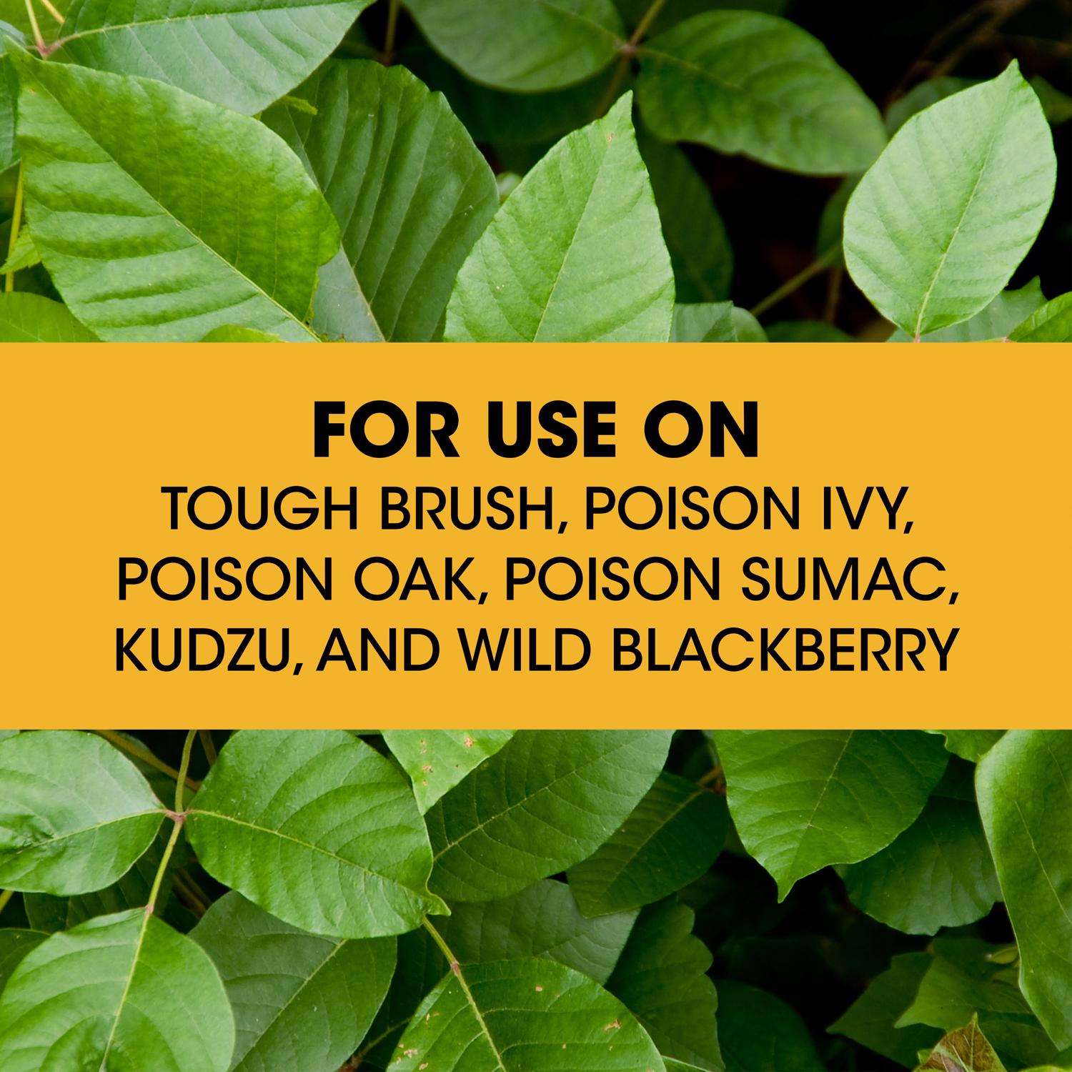  Roundup Poison Ivy Killer Concentrate 32 Oz