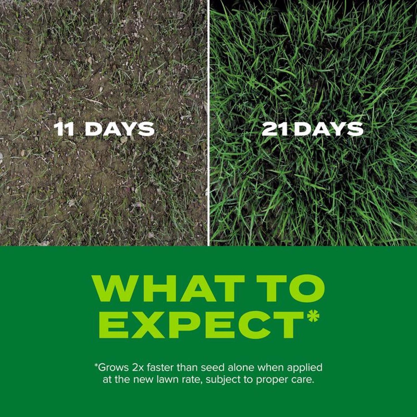  Scotts Turf Builder Rapid Grass Tall Fescue Grass Sun Or Shade Grass Seed And Fertilizer 5.6 Lb