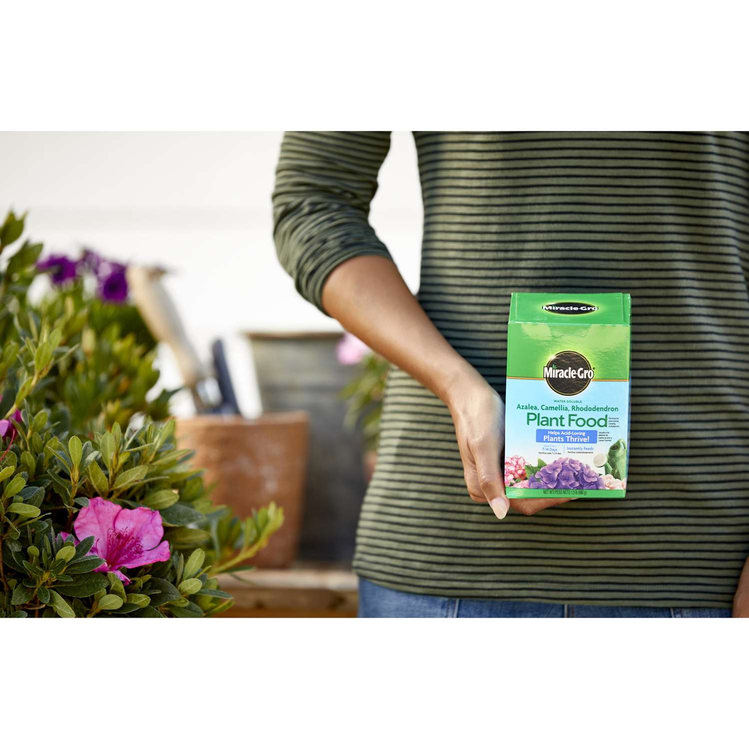  Miracle-Gro Powder Azalea, Camellia, Rhododendron Plant Food 1.5 Lb