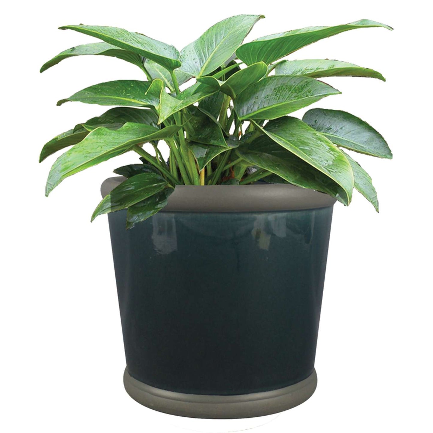  Trendspot Belleville 8.5 In. H X 9.5 In. W X 9.5 In. D Ceramic Planter Blue