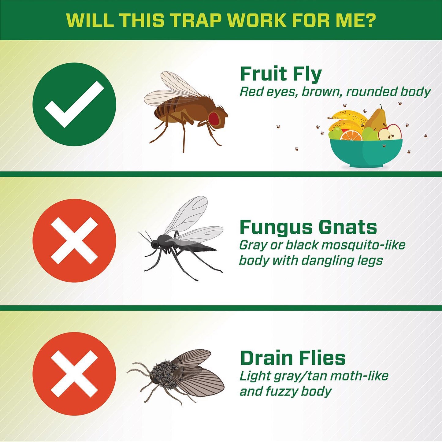  RESCUE! Fruit Fly Trap 0.68 Oz