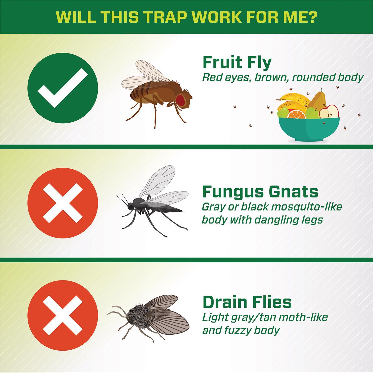  RESCUE! Fruit Fly Trap 0.68 Oz