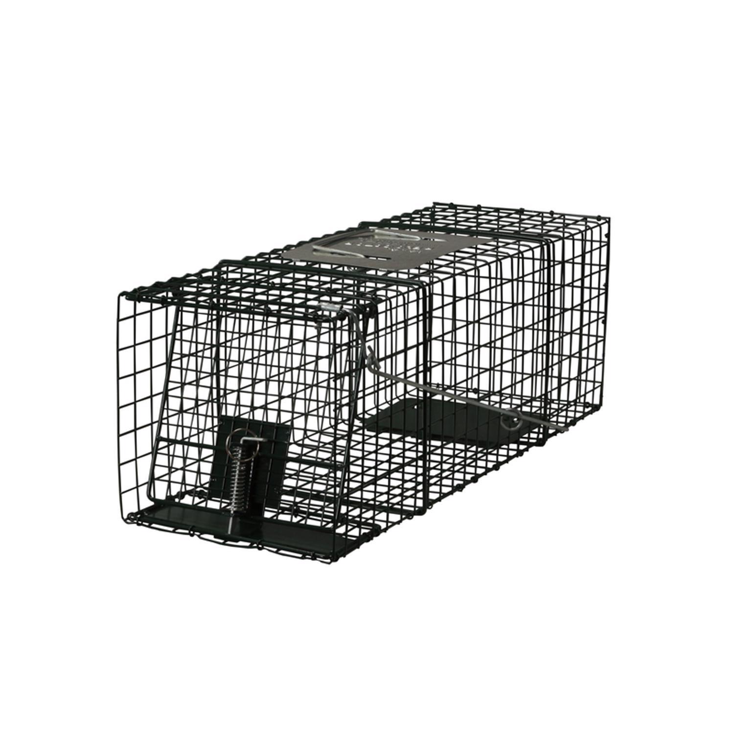  Intruder Relocator Medium Live Catch Animal Trap For Rabbits 1 Pk