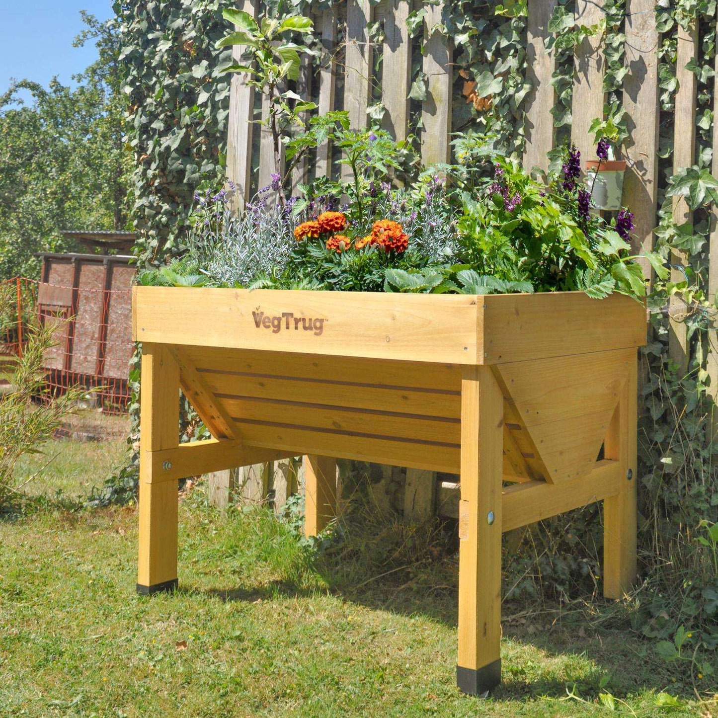  VegTrug VegTrug Classic 31.5 In. H X 40.7 In. W X 30 In. D Wood VegTrug Classic Planter Natural