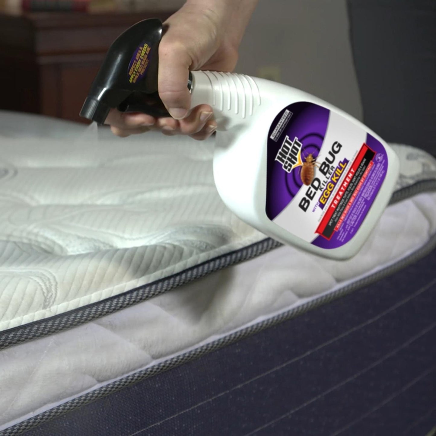  Hot Shot Bed Bug Killer Liquid 32 Oz