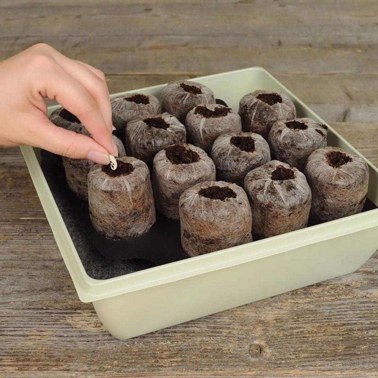  Jiffy 14 Cells 11 In. H X 11 In. W Seed Starting Kit 1 Pk