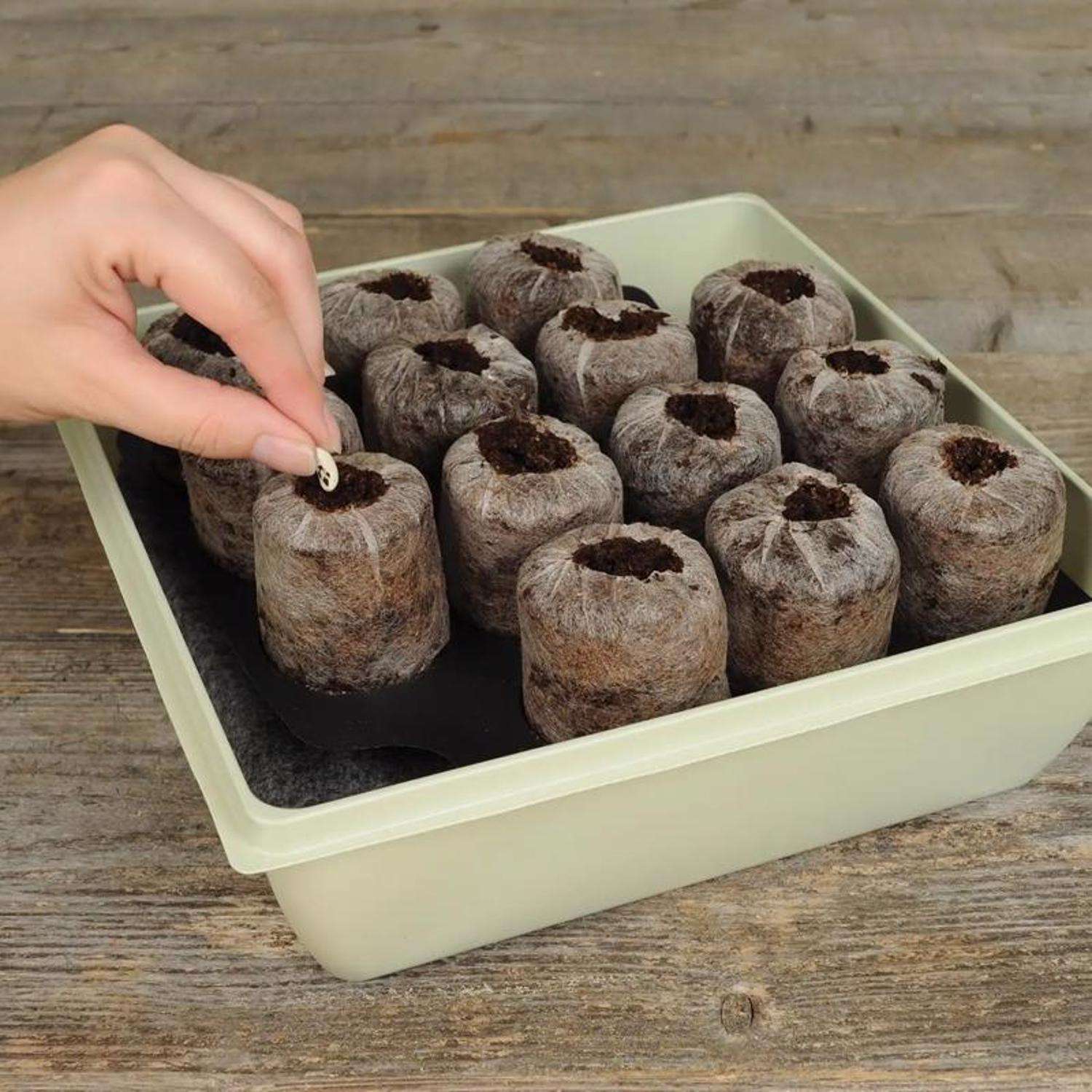  Jiffy 14 Cells 11 In. H X 11 In. W Seed Starting Kit 1 Pk