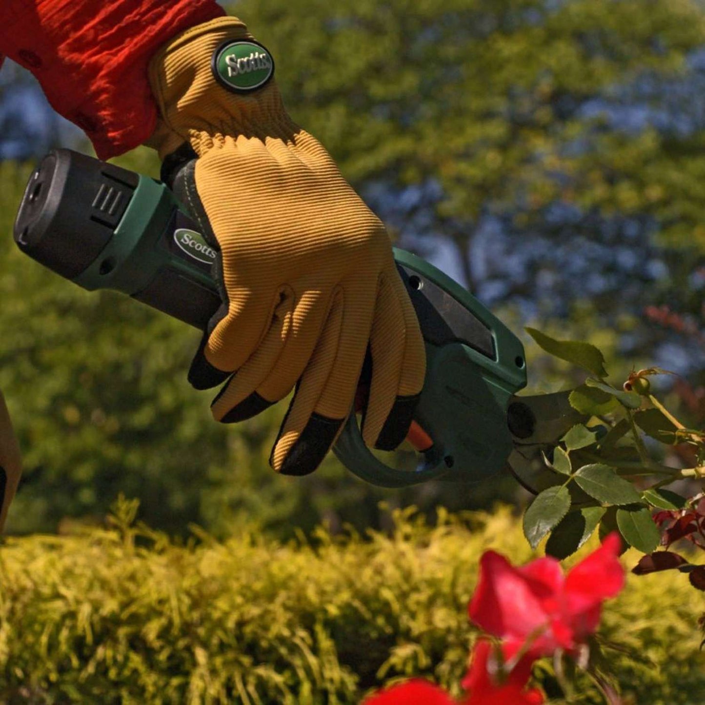  Scotts Steel Cordless Pruners