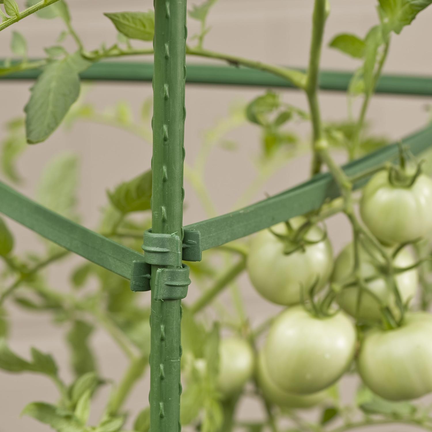  Gardener's Blue Ribbon 60 In. H X 12 In. W Green Steel Tomato Cage