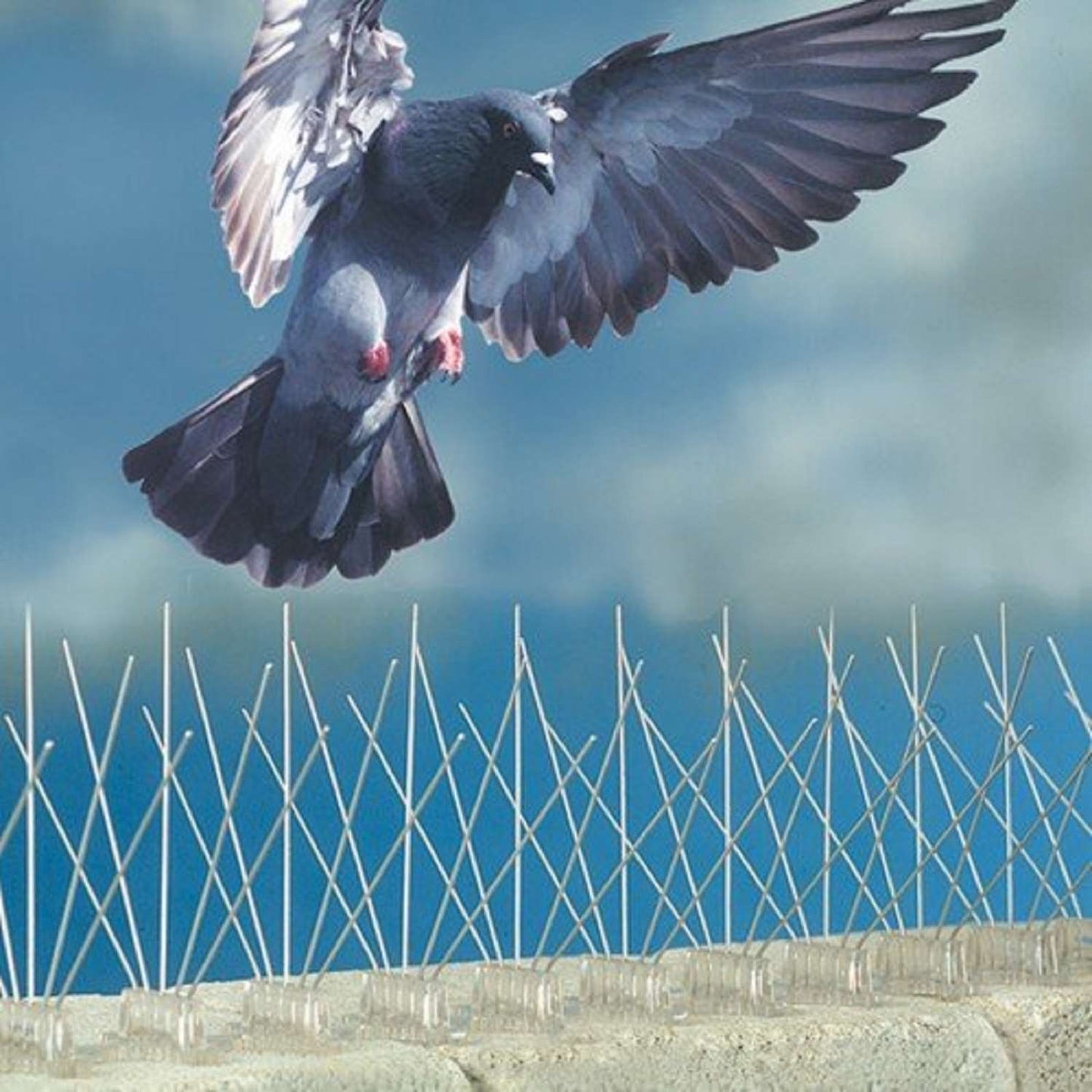  Bird-B-Gone Bird Repelling Spikes For Assorted Species 20 Pk