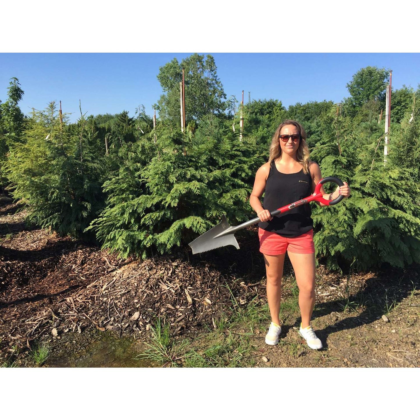  Radius Garden 44.5 In. Carbon Steel Shovel Poly Handle