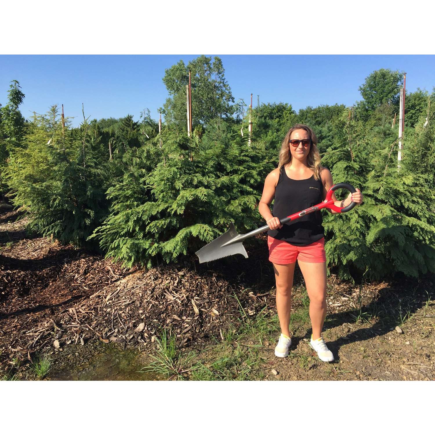  Radius Garden 44.5 In. Carbon Steel Shovel Poly Handle