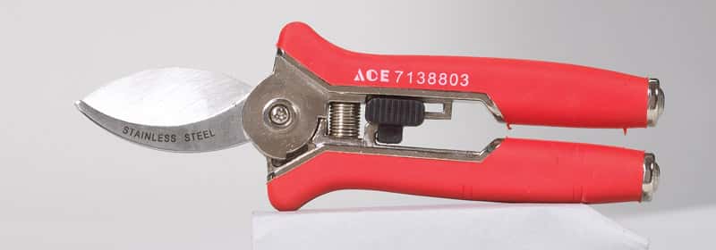  Ace 6 In. Stainless Steel Bypass Pruners