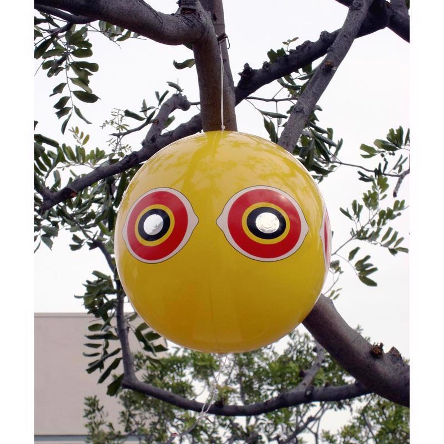  Bird-B-Gone Bird Repelling Balloon For Assorted Species 1 Pk