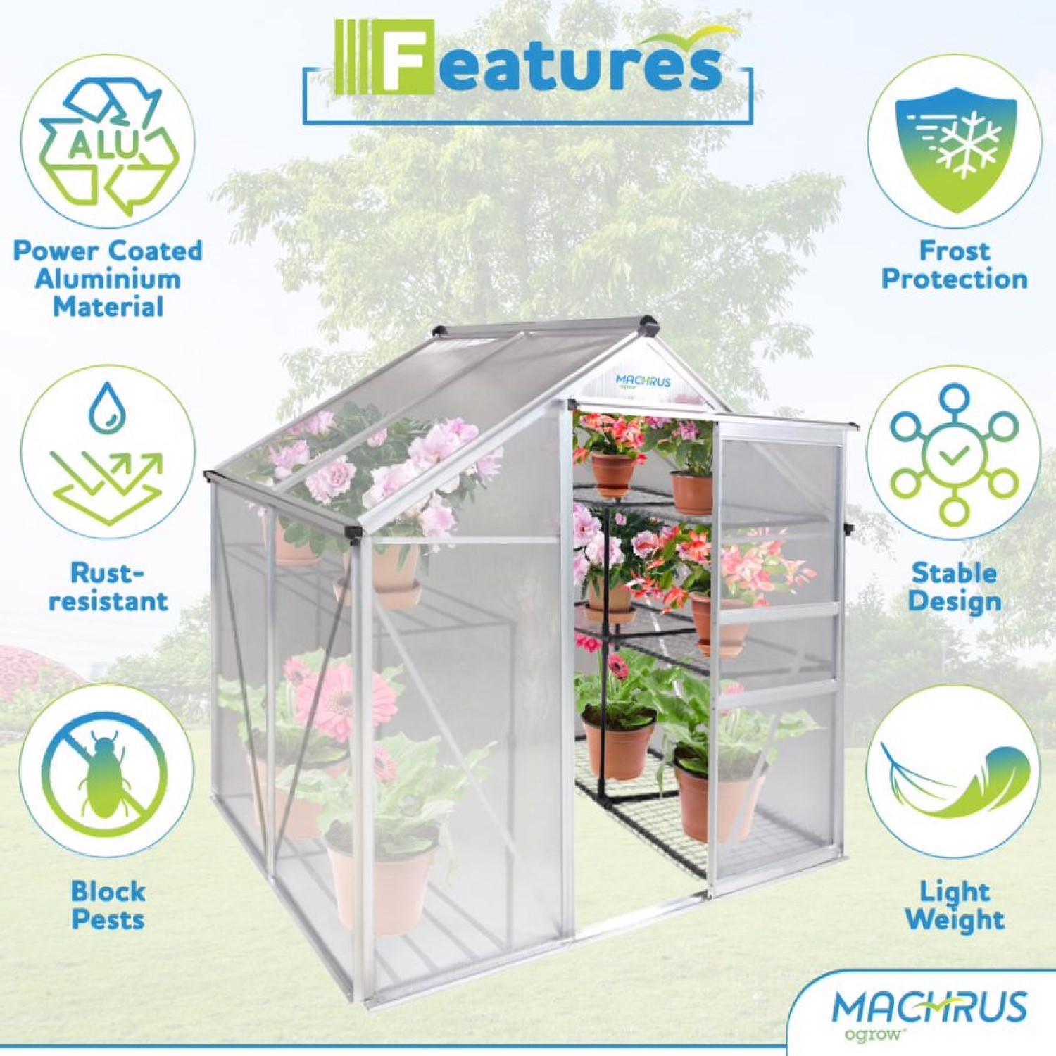  OGrow Clear 51.97 In. W X 74.8 In. D X 79.13 In. H Greenhouse