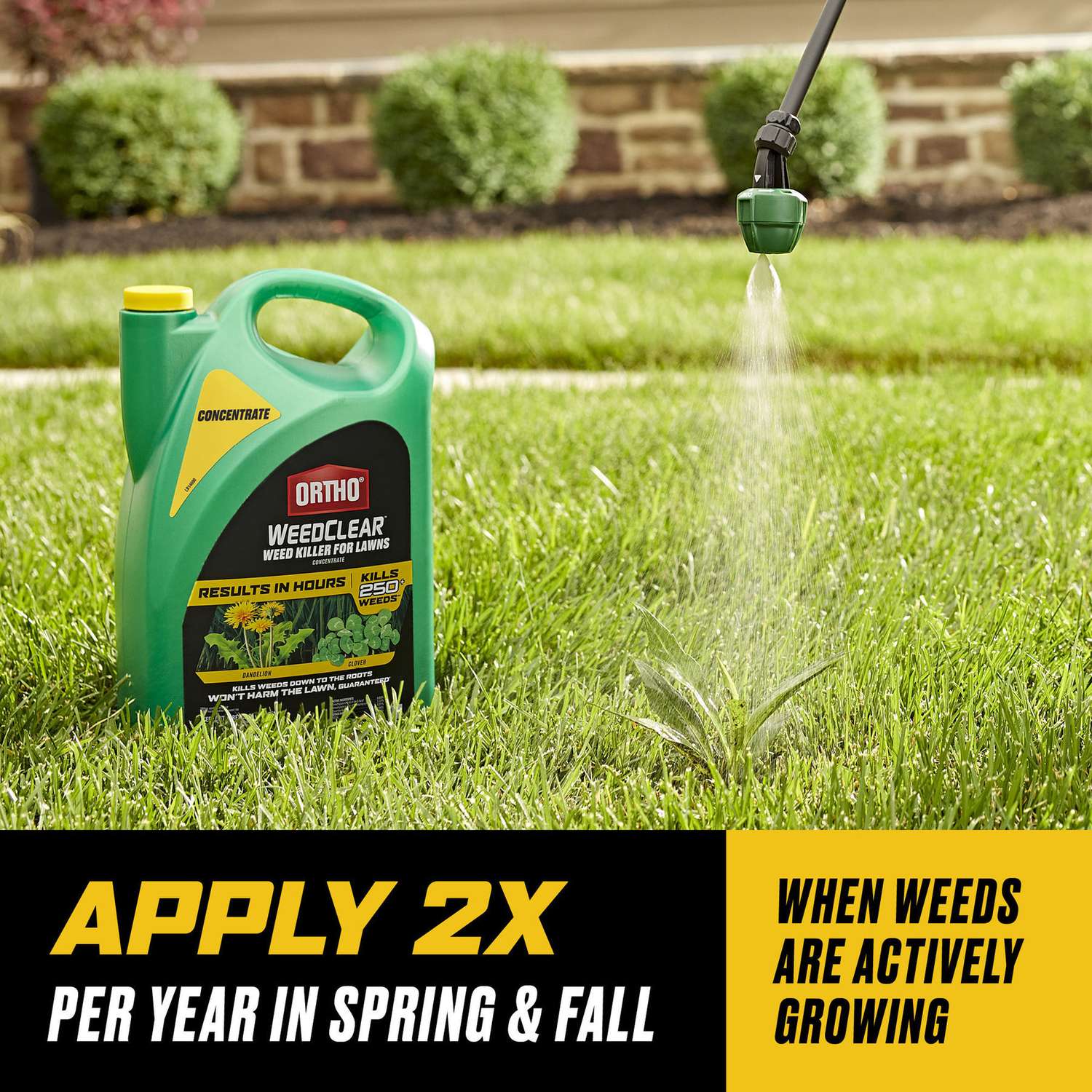  Ortho WeedClear Weed Killer Concentrate 1 Gal