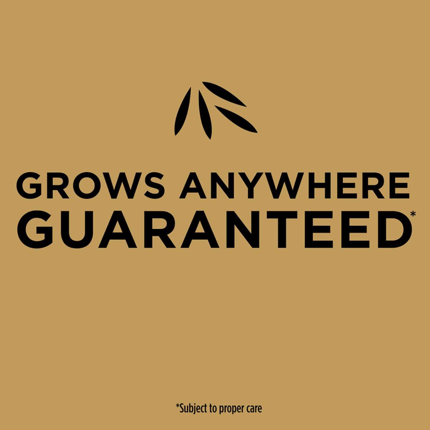  Scotts EZ Seed Mixed Sun Or Shade Grass Spot Repair Seed 20 Lb