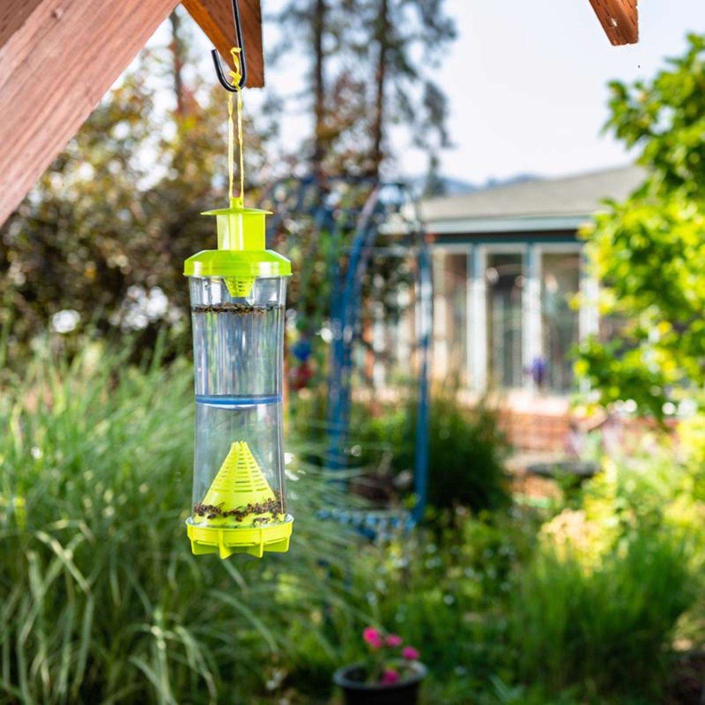  RESCUE Yellowjacket & Wasp Trap 1 Pk
