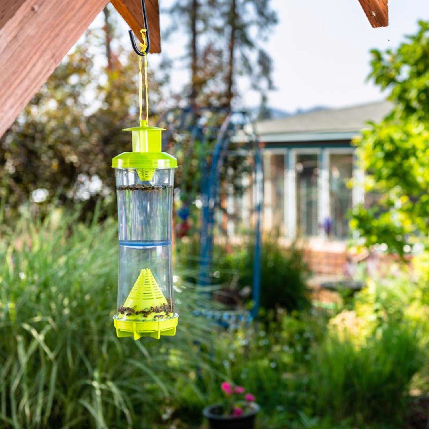  RESCUE Yellowjacket & Wasp Trap 1 Pk