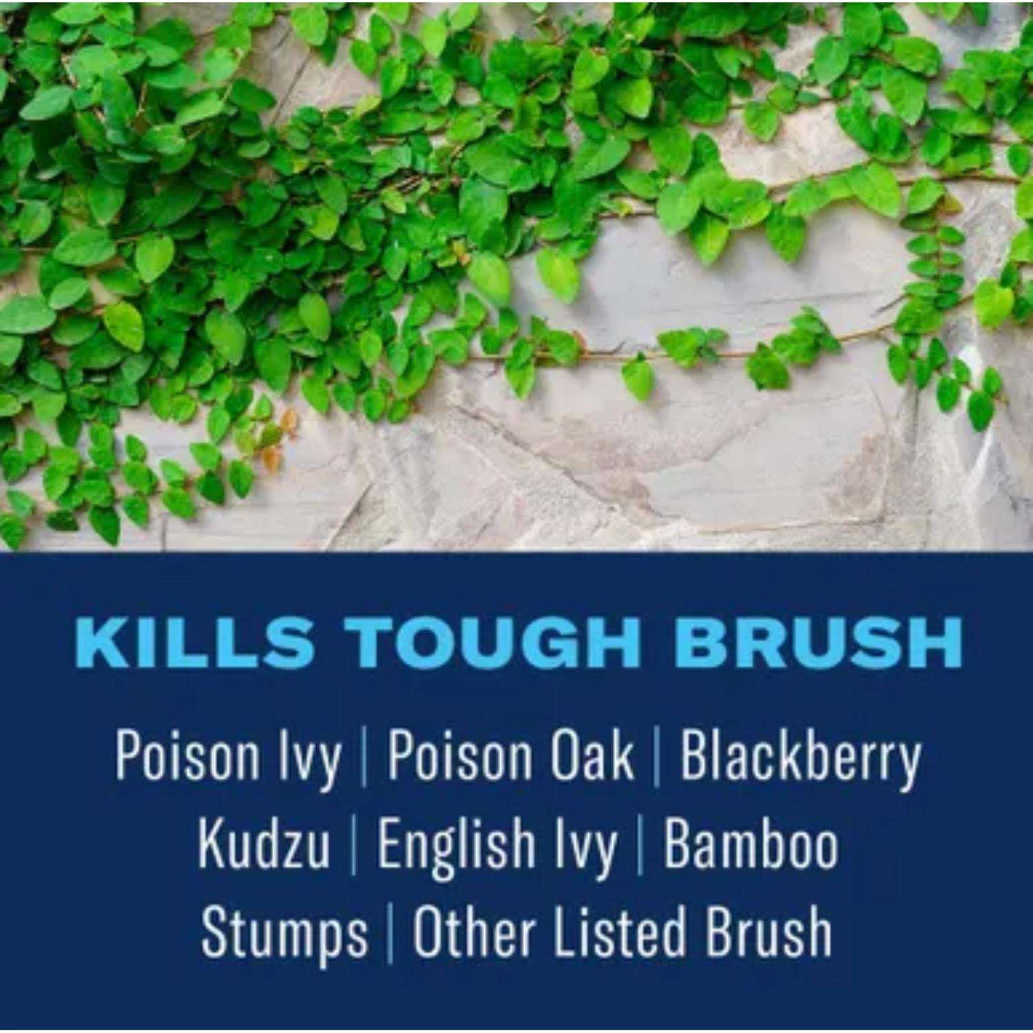 BioAdvanced Brush Killer Concentrate 32 Oz