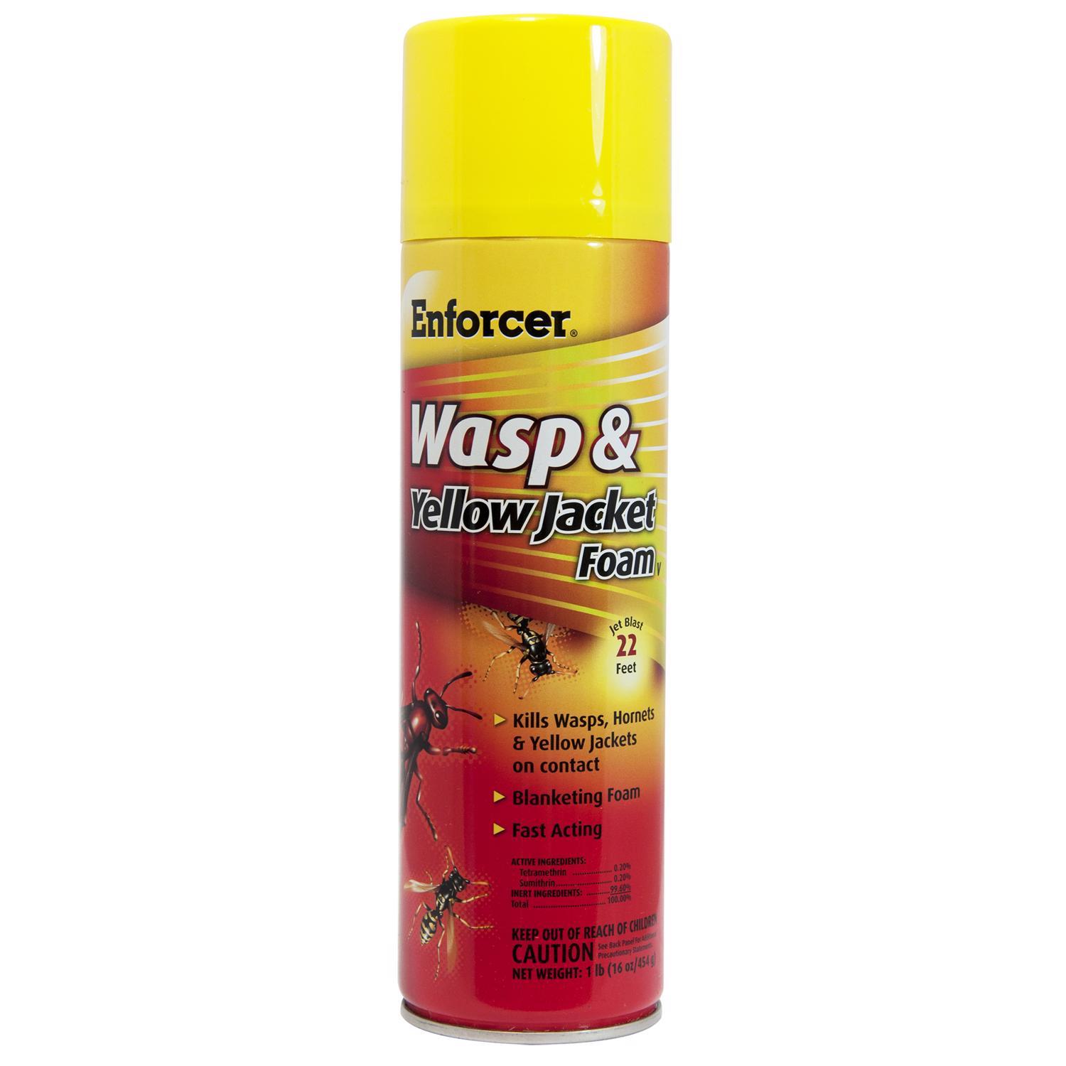 Enforcer Insect Killer Foam 16 Oz