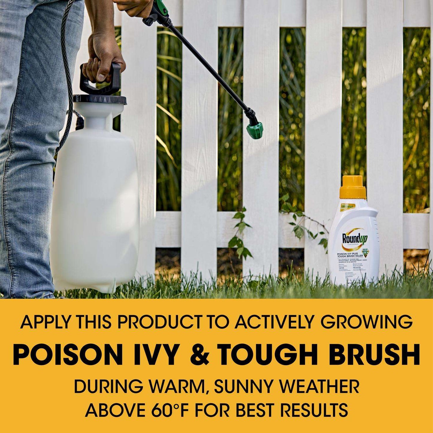 Roundup Poison Ivy Killer Concentrate 32 Oz