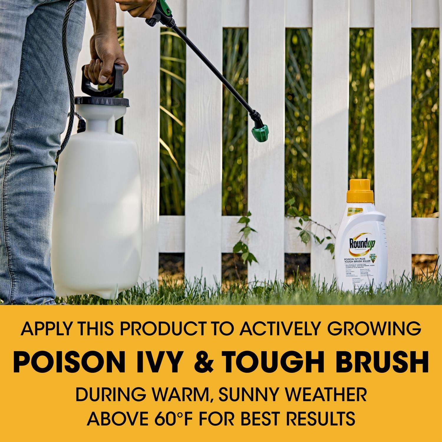 Roundup Poison Ivy Killer Concentrate 32 Oz