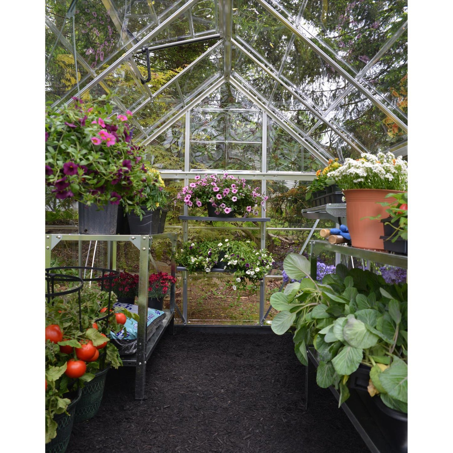  Canopia By Palram Harmony Silver 72.8 In. W X 97.2 In. D X 81.9 In. H Walk-In Greenhouse