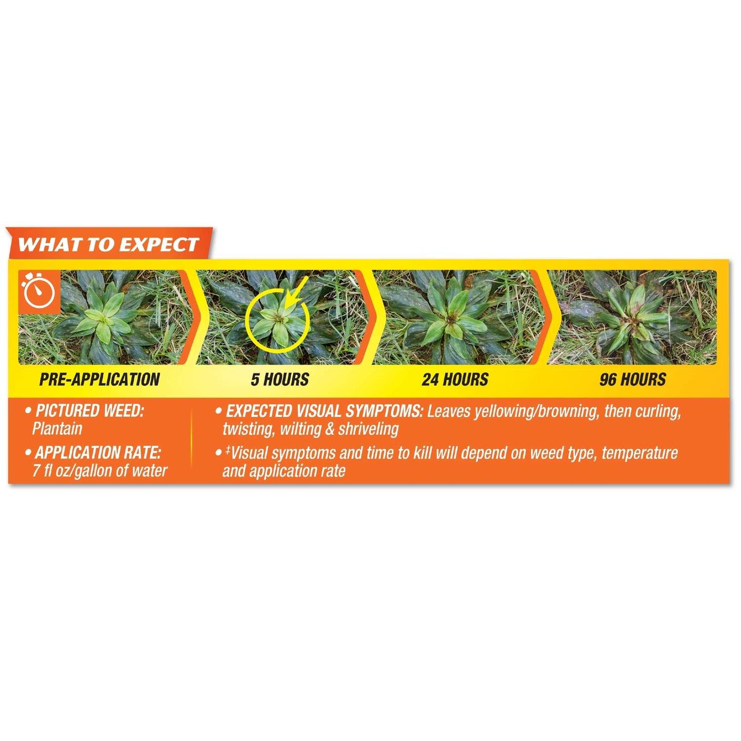  Spectracide Weed Stop Crabgrass Killer Concentrate 40 Oz