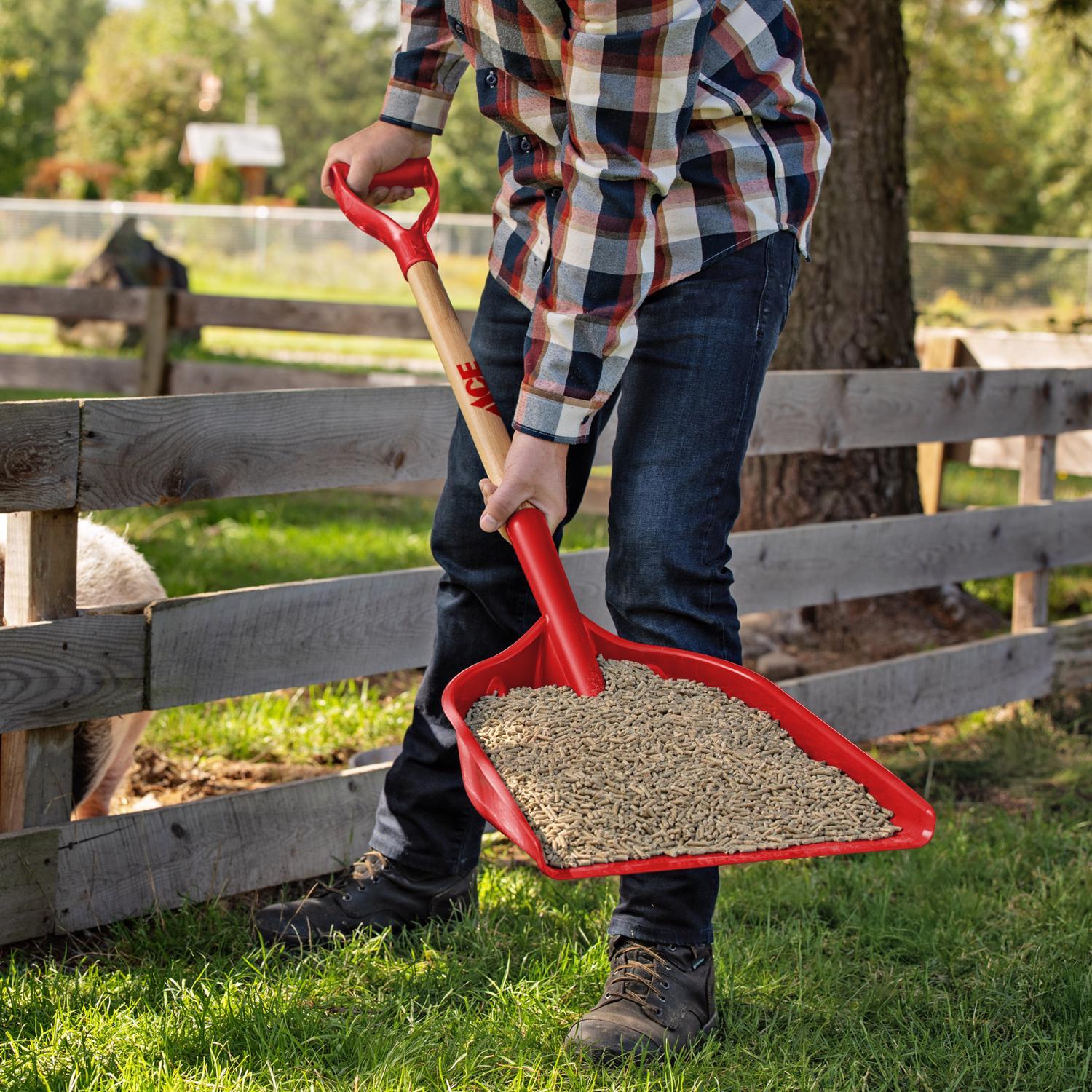  Ace Red Grain Scoop