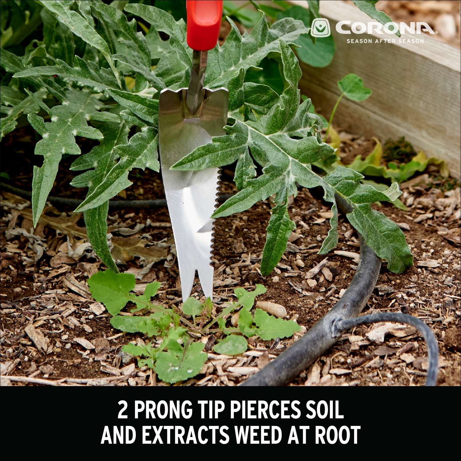  Corona ComfortGEL 13.25 In. Stainless Steel Weeder Polymer Handle