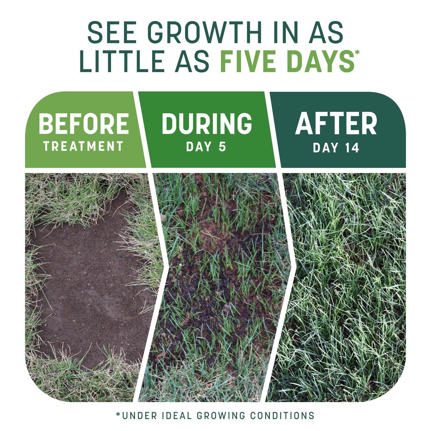  Pennington Smart Patch Mixed Sun Or Shade Seed/Fertilizer/Mulch Repair Kit 10 Lb