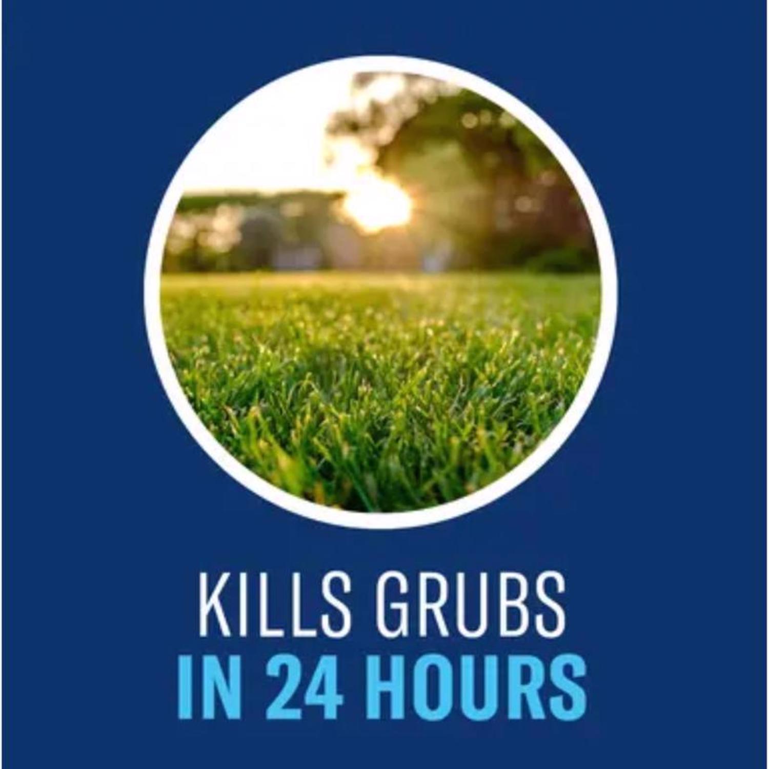 BioAdvanced 24 Hour Grub And Insect Control Granules 10 Lb