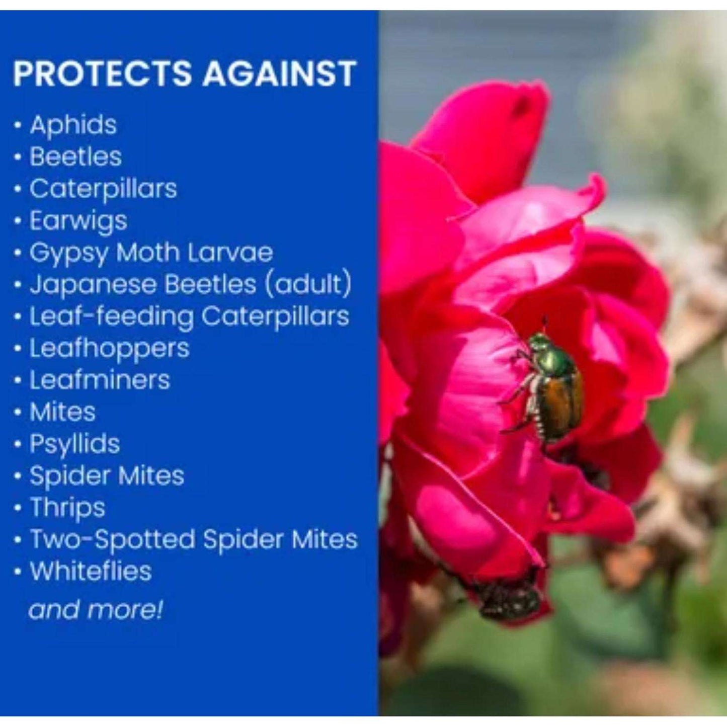  BioAdvanced Insect, Disease & Mite Control Liquid Concentrate 32 Oz